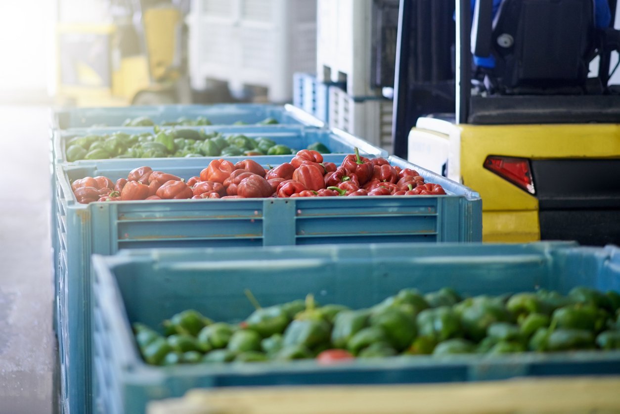 quelles sont les clés pour le stockage dans un entrepôt alimentaire